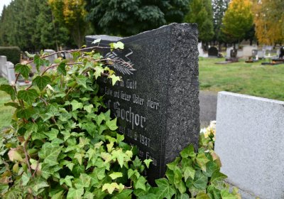 Jirkov, Omnium, 2020