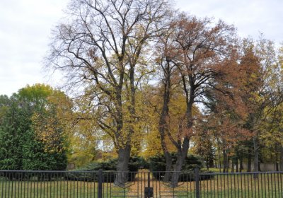 Chomutov židovský, Omnium, 2020