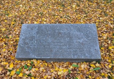 Chomutov židovský, Omnium, 2020