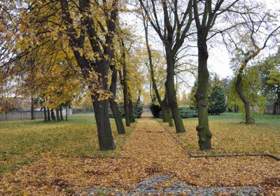 Chomutov židovský, Omnium, 2020