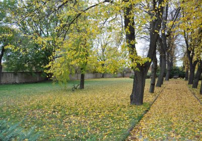 Chomutov židovský, Omnium, 2020