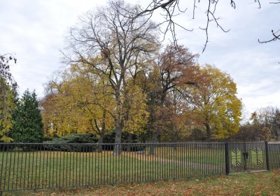 Chomutov židovský, Omnium, 2020