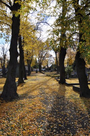 Chomutov