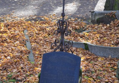 Chomutov městský, Omnium, 2020