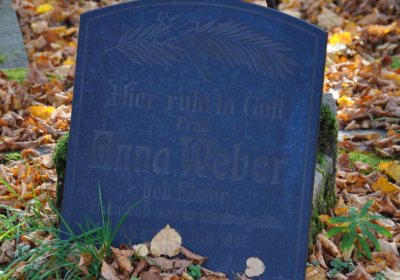 Chomutov městský, Omnium, 2020