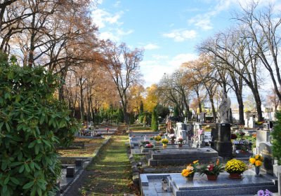 Chomutov městský, Omnium, 2020