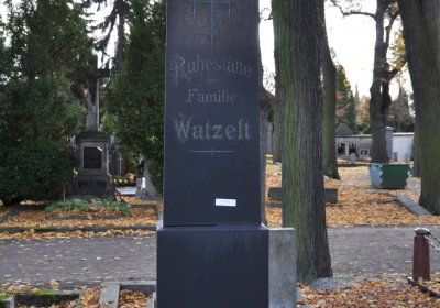 Chomutov městský, Omnium, 2020