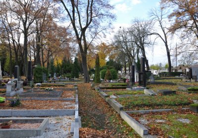 Chomutov městský, Omnium, 2020