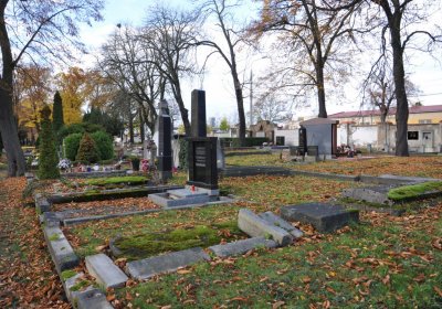 Chomutov městský, Omnium, 2020