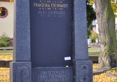 Chomutov městský, Omnium, 2020