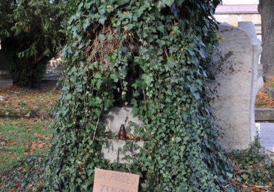 Chomutov městský, Omnium, 2020