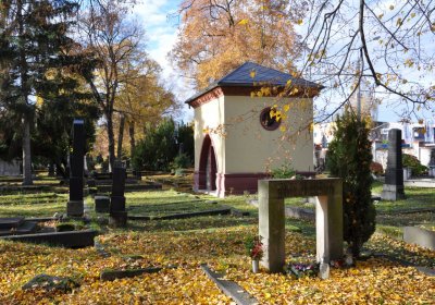 Chomutov městský, Omnium, 2020