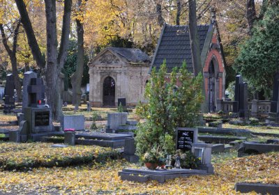 Chomutov městský, Omnium, 2020