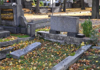 Chomutov městský, Omnium, 2020