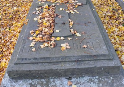 Chomutov městský, Omnium, 2020