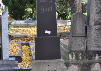 Chomutov městský, Omnium, 2020