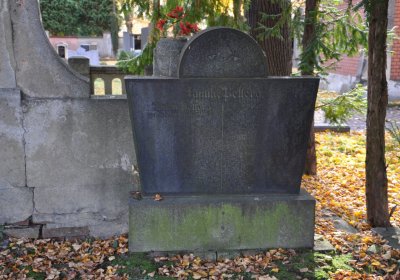 Chomutov městský, Omnium, 2020