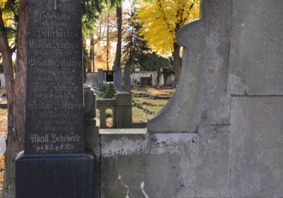 Chomutov městský, Omnium, 2020