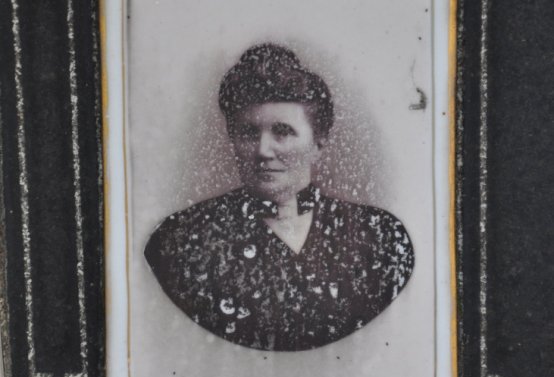 Chomutov městský, Omnium, 2020