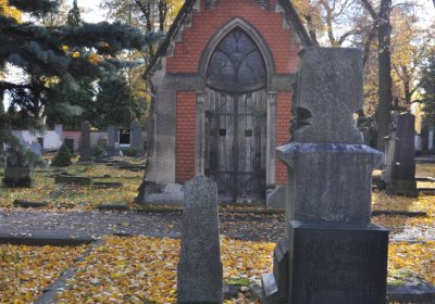 Chomutov městský, Omnium, 2020