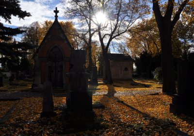 Chomutov městský, Omnium, 2020