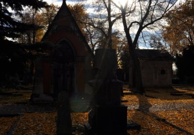 Chomutov městský, Omnium, 2020