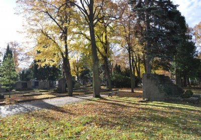 Chomutov městský, Omnium, 2020