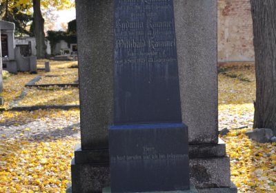 Chomutov městský, Omnium, 2020