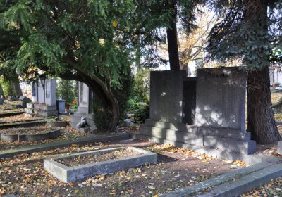 Chomutov městský, Omnium, 2020