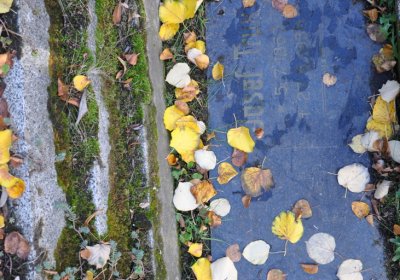 Chomutov městský, Omnium, 2020