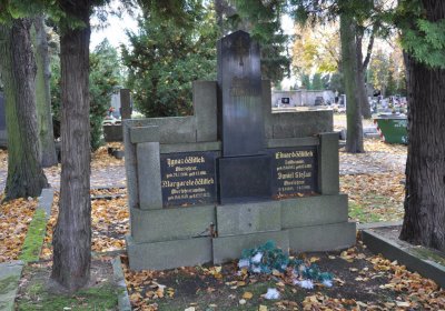 Chomutov městský, Omnium, 2020