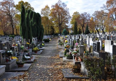 Chomutov městský, Omnium, 2020