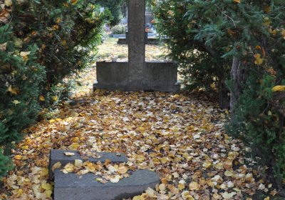 Chomutov městský, Omnium, 2020