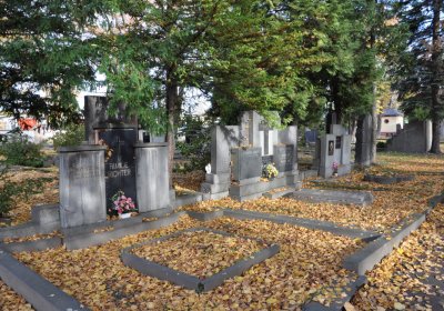 Chomutov městský, Omnium, 2020