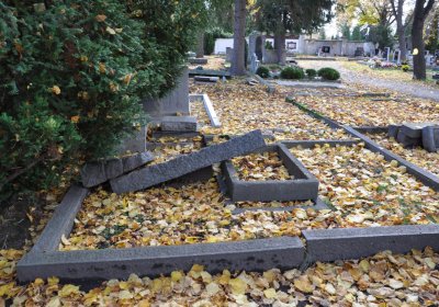 Chomutov městský, Omnium, 2020