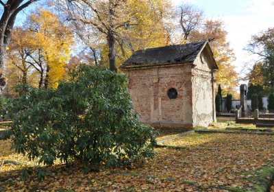 Chomutov městský, Omnium, 2020