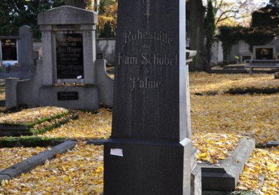 Chomutov městský, Omnium, 2020