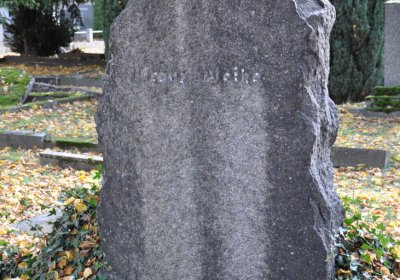 Chomutov městský, Omnium, 2020