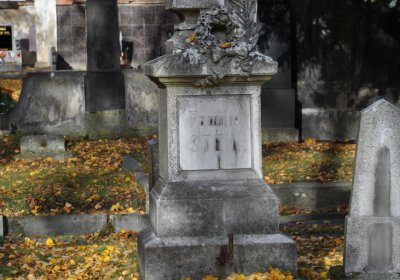 Chomutov městský, Omnium, 2020