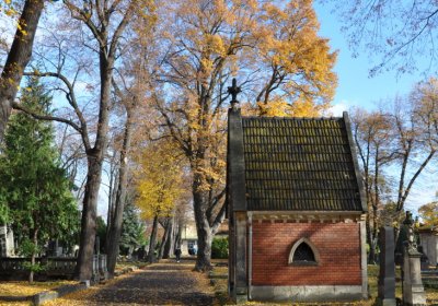 Chomutov městský, Omnium, 2020