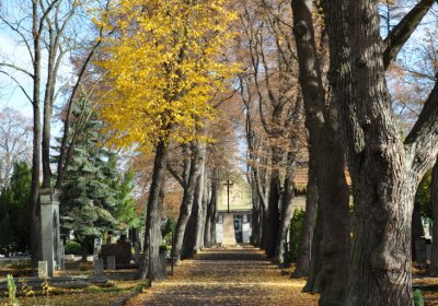 Chomutov městský, Omnium, 2020