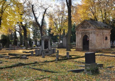 Chomutov městský, Omnium, 2020