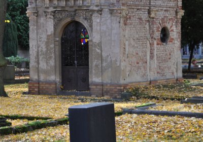 Chomutov městský, Omnium, 2020