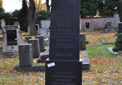 Chomutov městský, Omnium, 2020