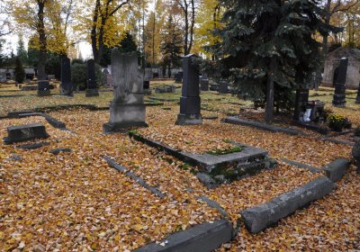 Chomutov městský, Omnium, 2020