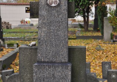 Chomutov městský, Omnium, 2020