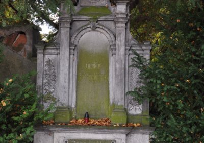 Chomutov městský, Omnium, 2020