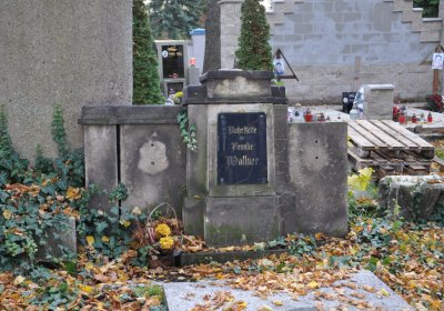 Chomutov městský, Omnium, 2020