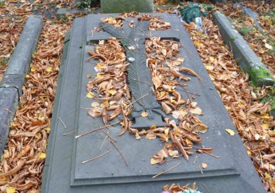 Chomutov městský, Omnium, 2020