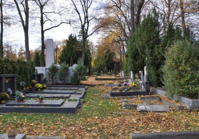 Chomutov městský, Omnium, 2020